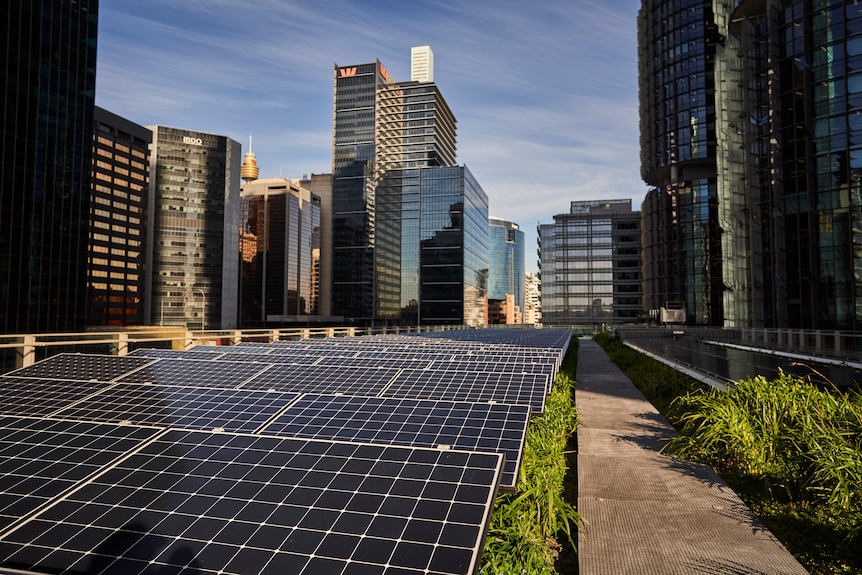 solar panels and garden on the rooftop of a building