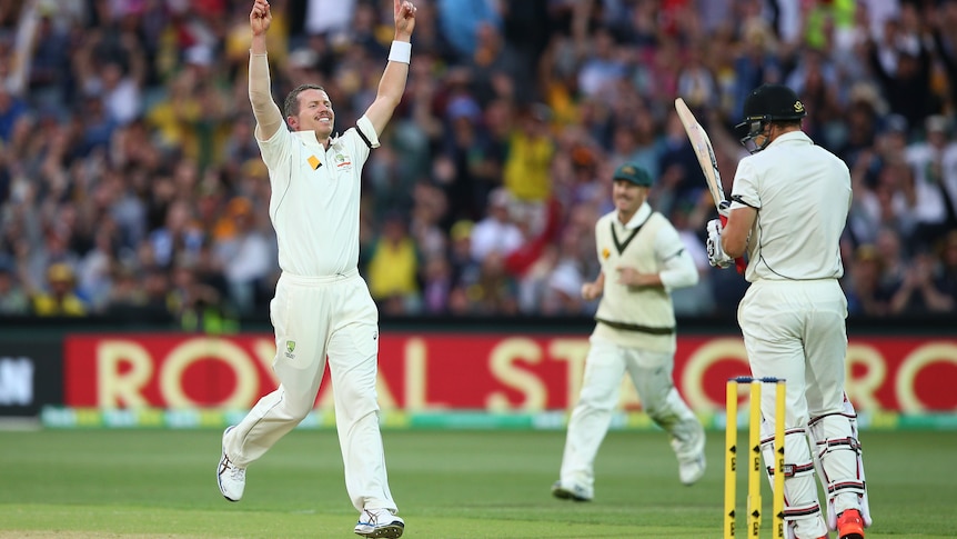 Siddle celebrates Bracewell dismissal