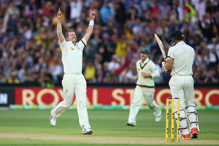 Siddle celebrates Bracewell dismissal