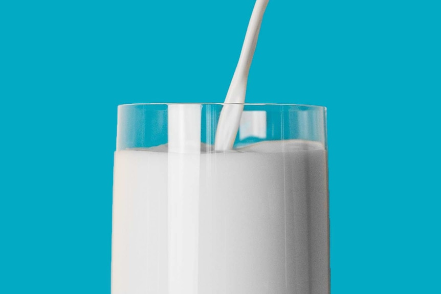 Close up of milk being poured into a glass, against a bright blue background.