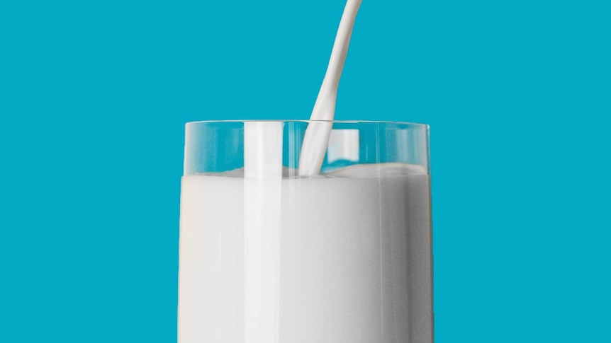 Close up of milk being poured into a glass, against a bright blue background.