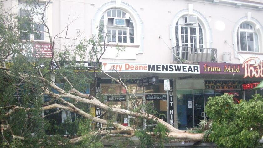 A large tree lies across Victoria Street in Mackay's CBD.