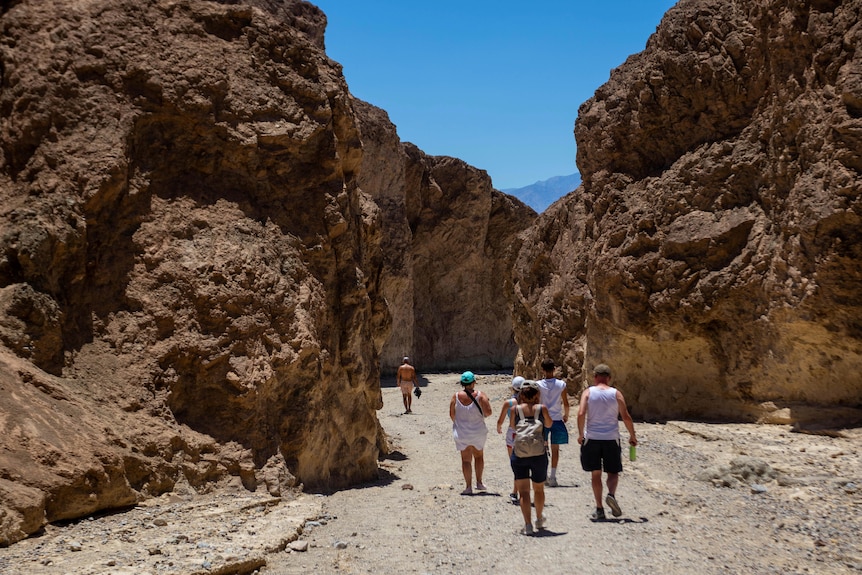 A group of hikers walking through a canyon in the desert sun, blue skies overhead.