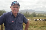 Close up of a man with dairy cows in the background