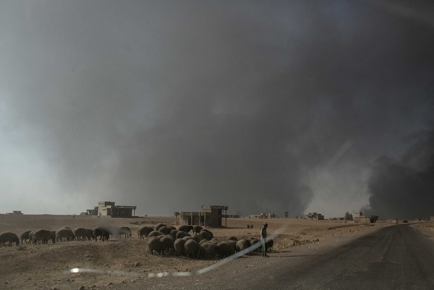 Smoke from burning oil fields in Al Qarrayah fills the sky near the village of Imam Gharbi.
