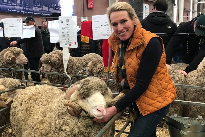 A blonde woman in a bright orange vest working with some woolly merino sheep in pens