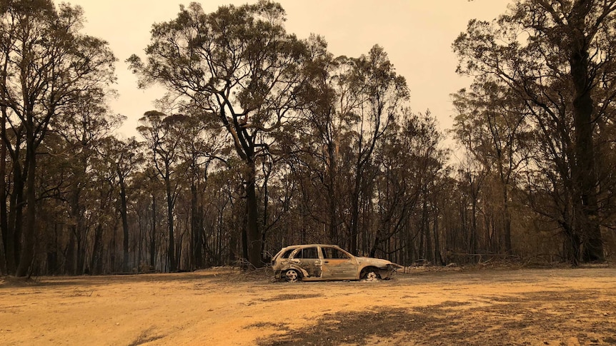A burnt out car and charred bushland.