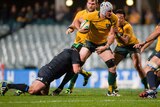 Wallabies captain Ben Mowen tries to break through against Argentina in the Rugby Championship.