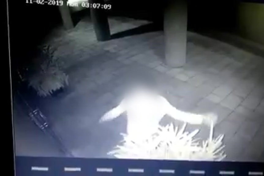 A CCTV image showing people breaking into a Darwin restaurant.