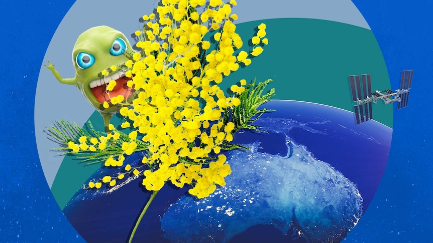 A flowering wattle twig with an alien behind it floating above the earth next to the International Space Station.