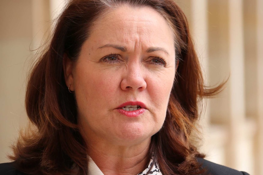 A head and shoulders shot of Liza Harvey outside Parliament.