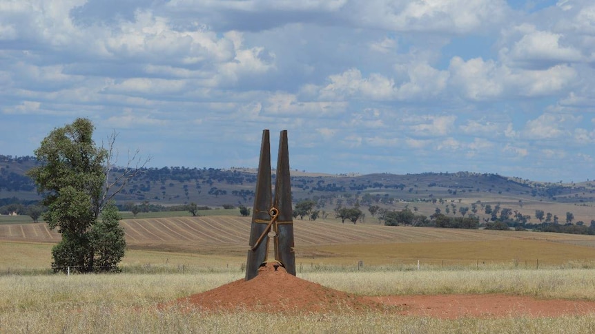 A giant peg in a paddock with other paddocks in the distance, in outback Australia.