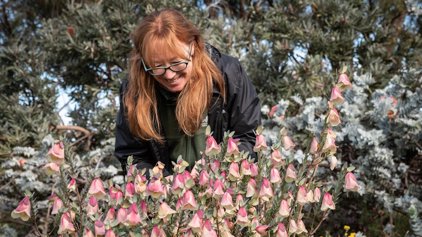 Amanda Shade, curator of the nursery at Kings Park botanic gardens, with the Qualup Bell.