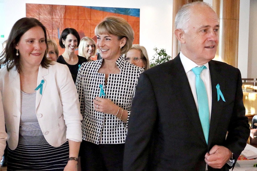 LtoR Assistant Treasurer, Kelly O'Dwyer, Michaela Cash, and Prime Minister Malcolm Turnbull in Parliament House.