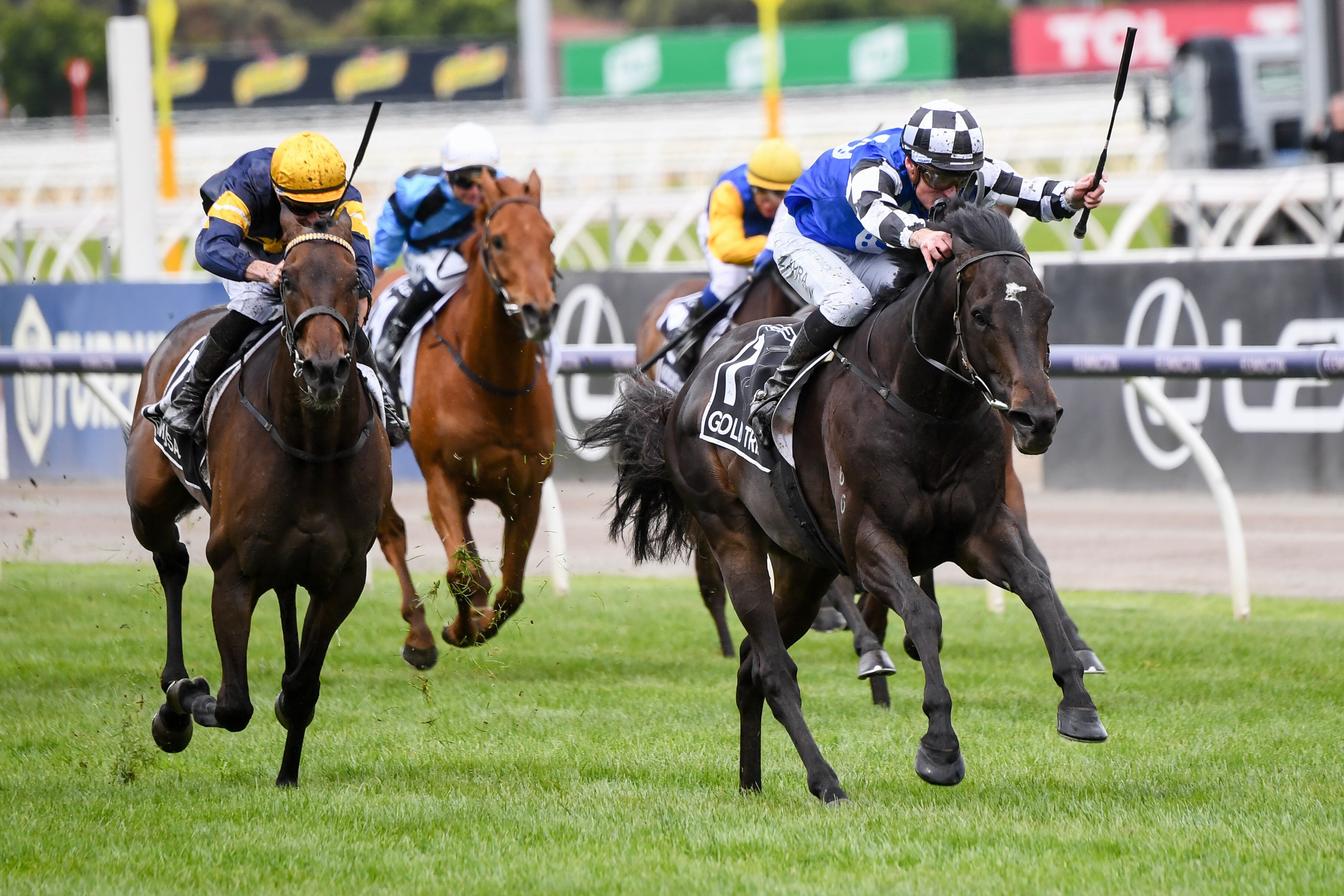 Melbourne Cup 2023 Field, Horses, Form Guide And Finishing Order - ABC News