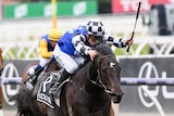 Mark Zahra raises his whip as he rides Gold Trip home to win the Melbourne Cup.