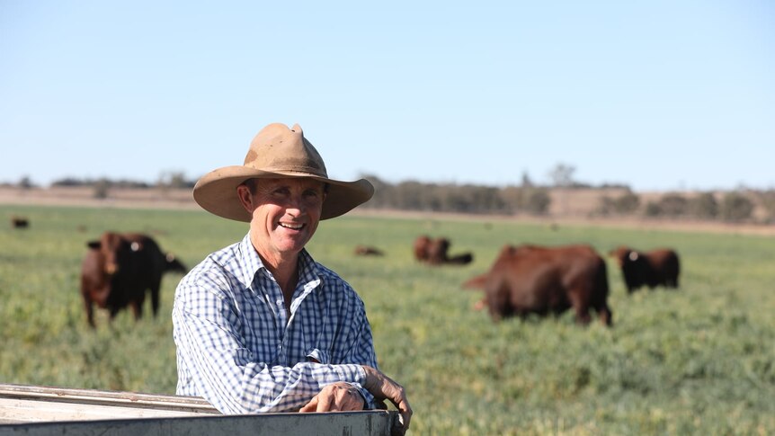 A farmer leans on the corner of a ute tray with blurred cattle in the background.