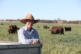 A farmer leans on the corner of a ute tray with blurred cattle in the background.