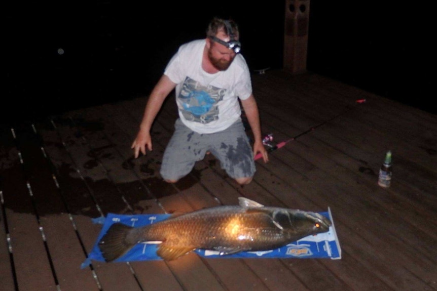 A 121cm barramundi is laid out, with the child's rod and reel seen in the background on the jetty at Lake Bennett, NT.