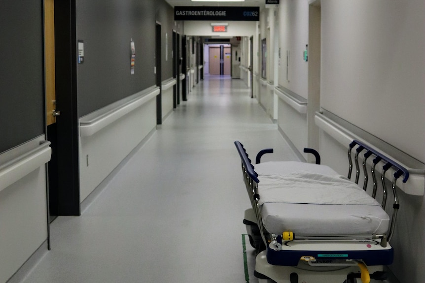A generic picture of a hospital hallway with an empty bed against the wall. 