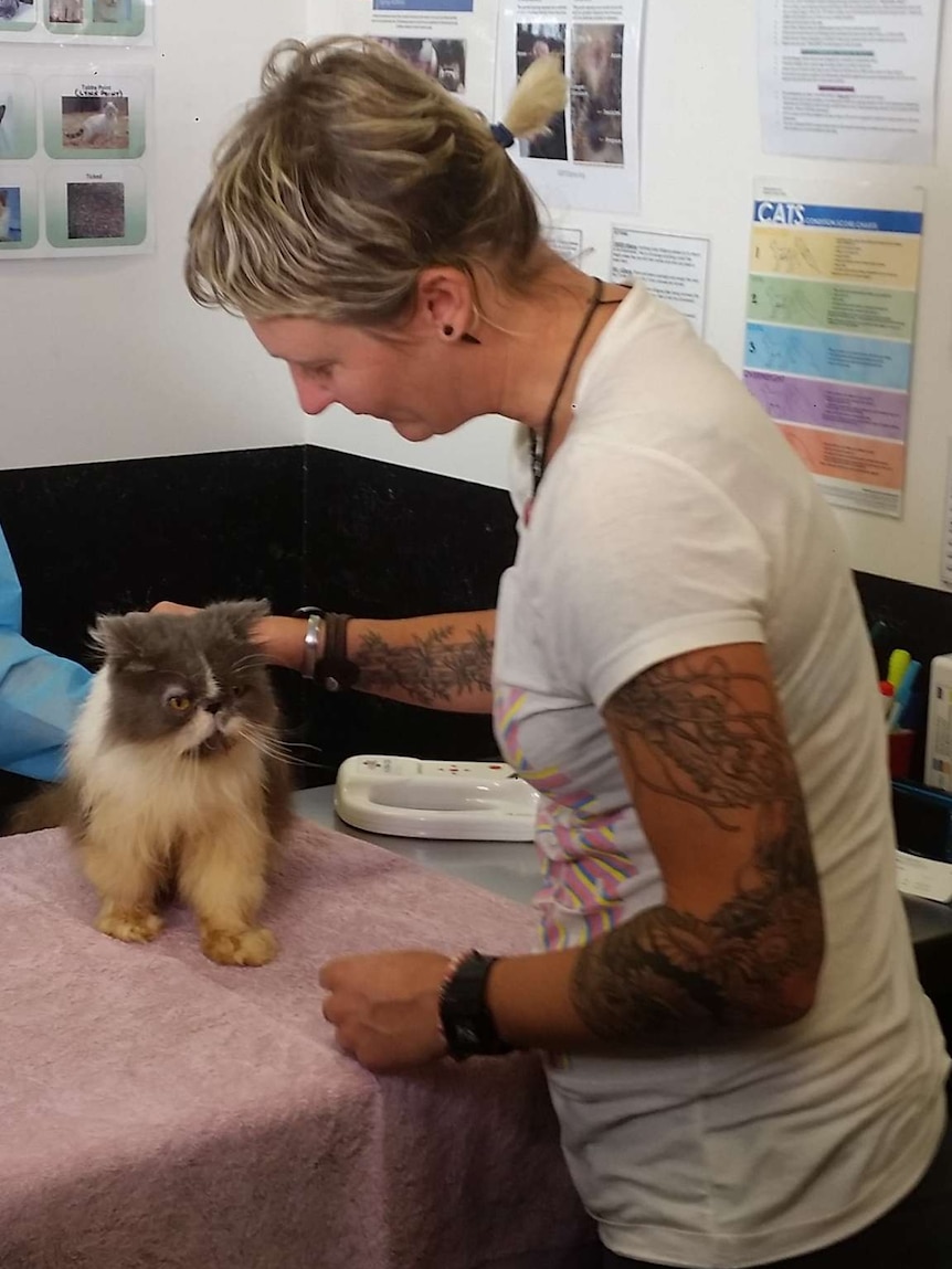 Amanda Handcock with her long lost cat