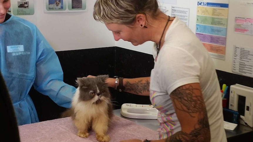 Amanda Handcock with her long lost cat