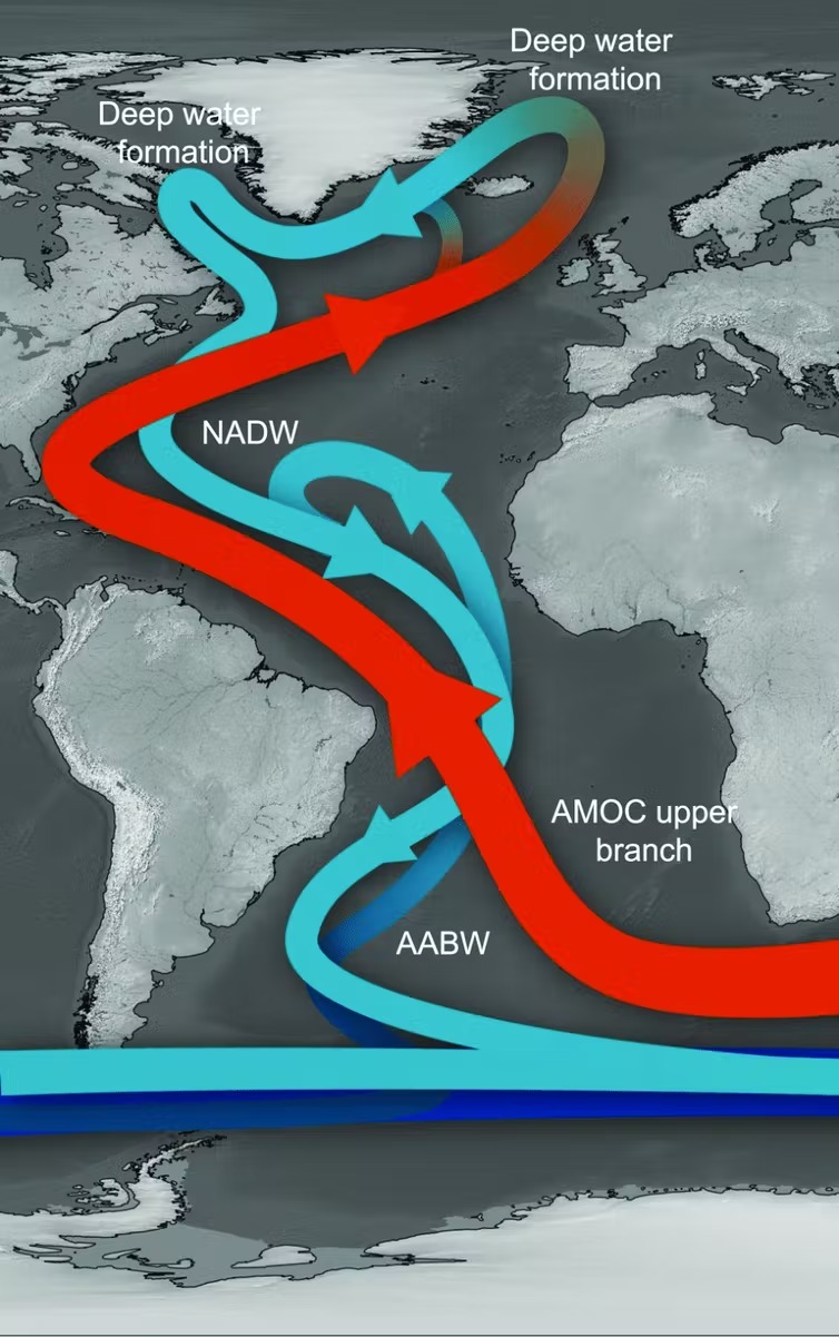 A graphic showing the Atlandtic meridional overturning circulation.