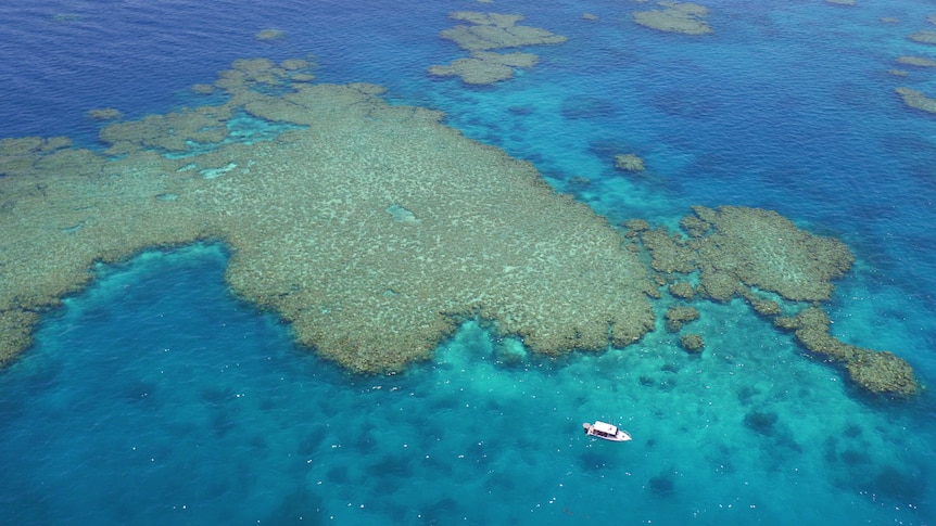 the Albanese Government added an extra $50 million to a program which tries to stop sediments from entering the Great Barrier Reef environment. 
