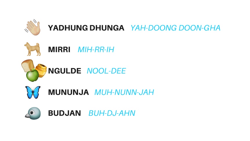 Graphic teaching some words in the Ngunawal language.