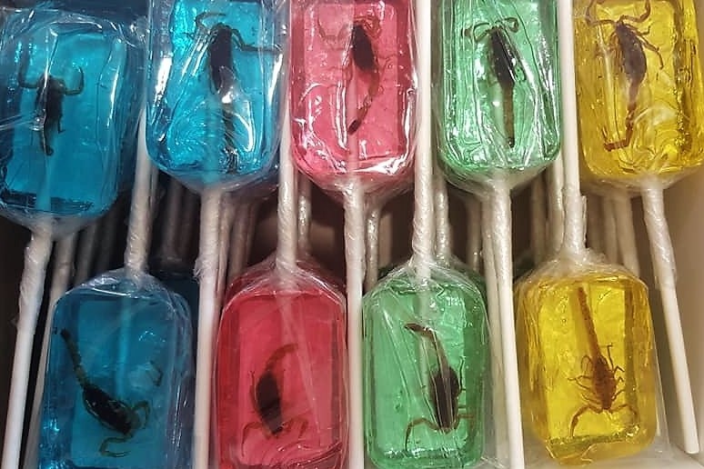 Colourful translucent lollipops in clear packaging stacked on a shelf, show scorpions frozen inside.