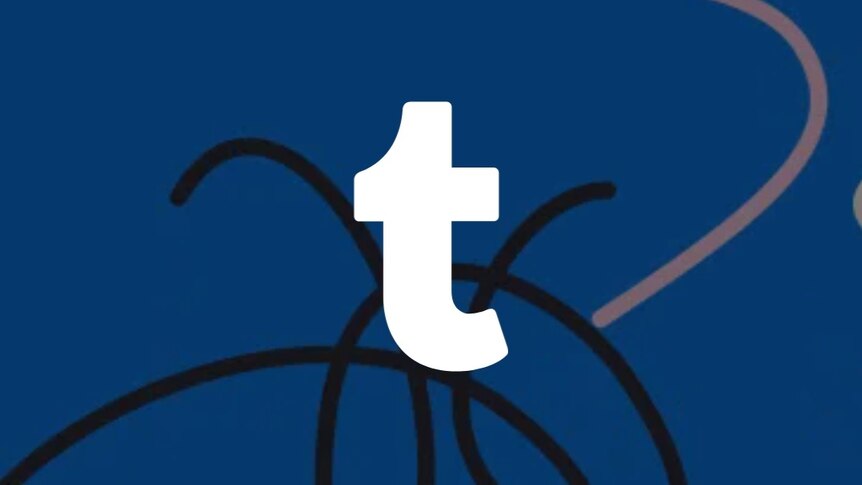 Tumblr's home page, with the logo and the words "Welcome to Tumblr. Now push the button."