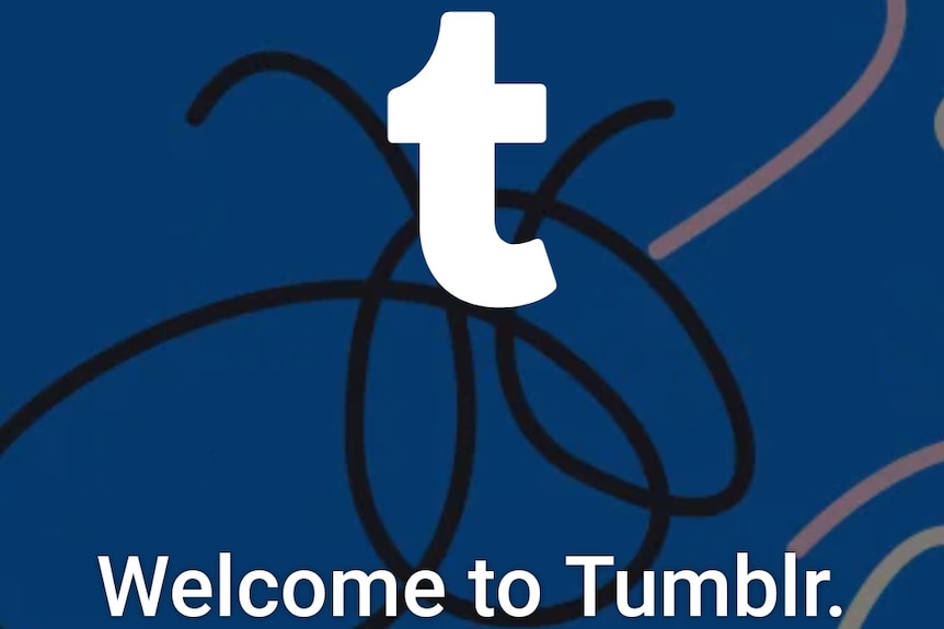 Tumblr's home screen with the "T" logo.