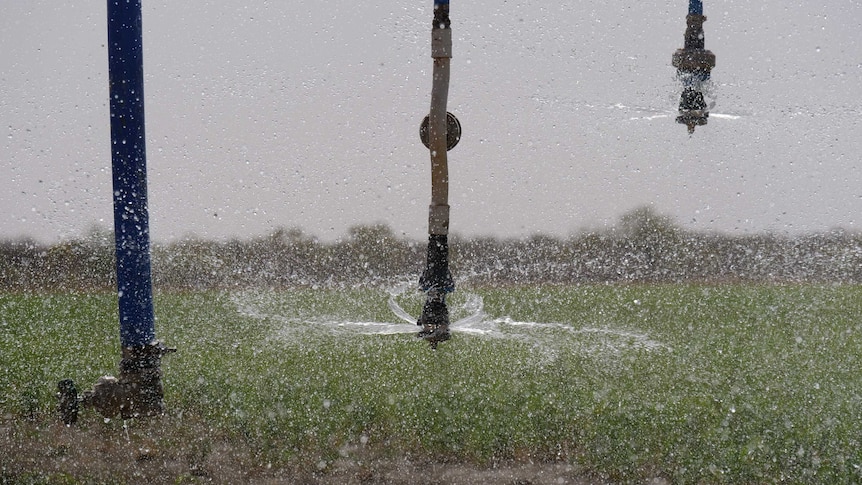 Close up of water coming out of centre pivot sprinklers