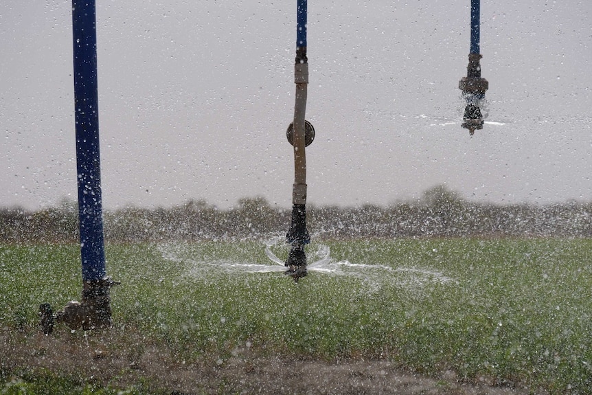 Close up of water coming out of centre pivot sprinklers