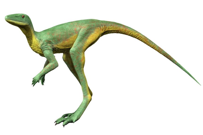A drawing of a green and yellow dinosaur, with a long tail, long back legs and a lizard-like head