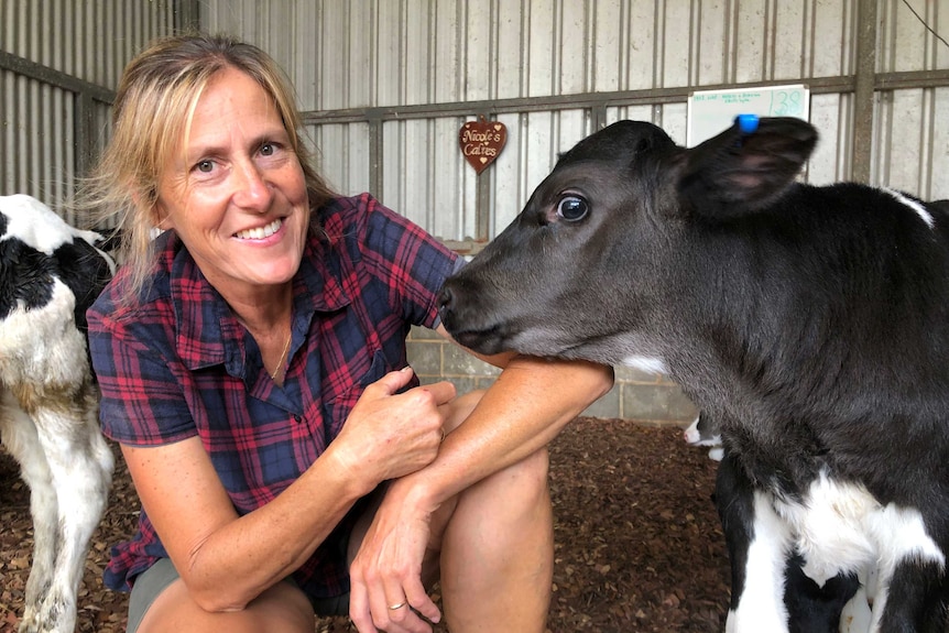 A woman crouches next to a black calf in a shed