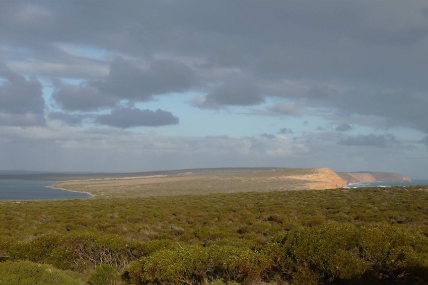 Wide shot of Venus Bay Conservation Park.