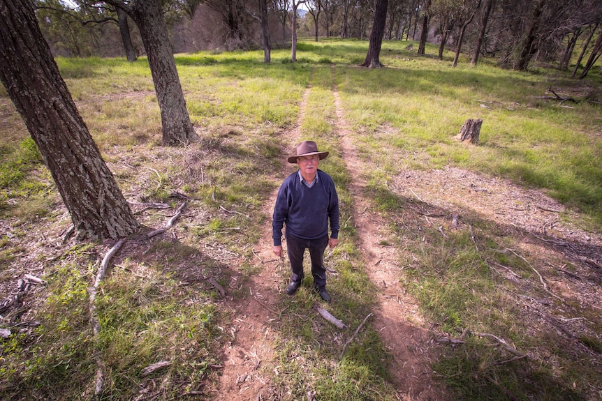 Roger Giles, a member of the Barragal Landcare Group standing in a piece of remnant Cumberland Plain Woodland