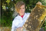Beekeeper Vanessa Hoo with her backyard hive.
