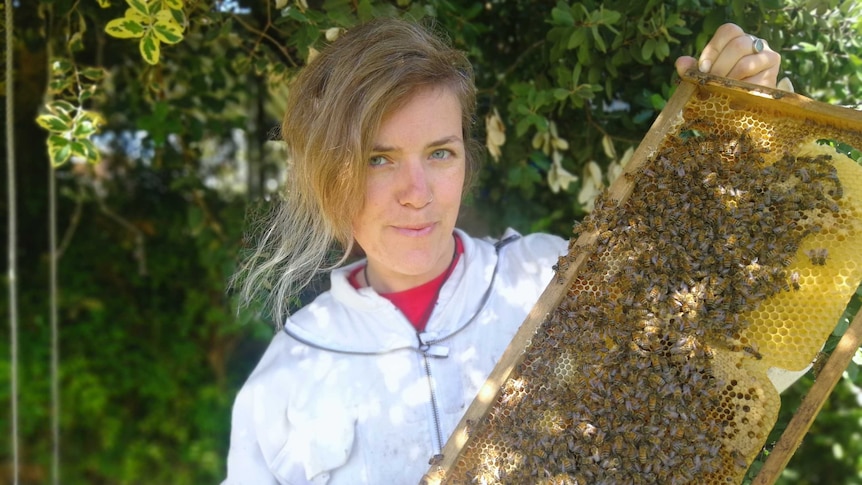 Beekeeper Vanessa Hoo with her backyard hive.