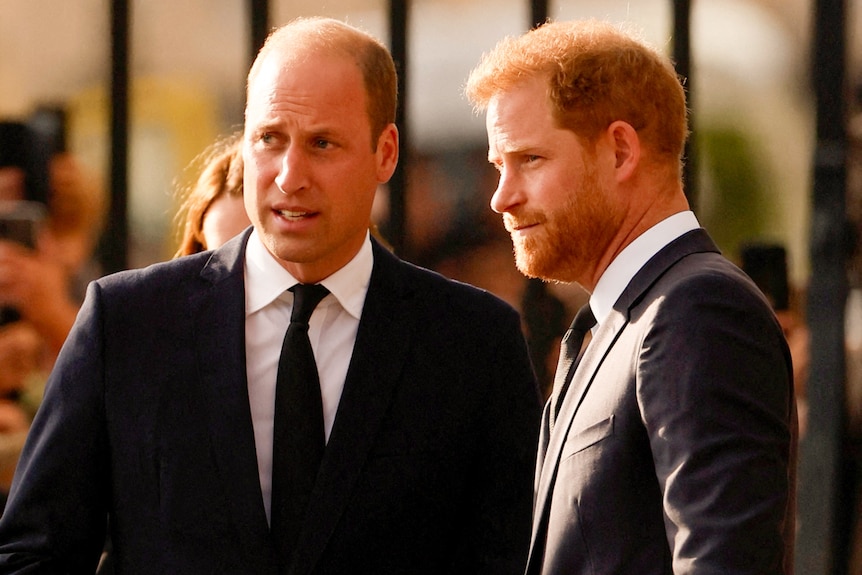 Prince William wearing a dark suit looks way from the camera as he talks with Prince Harry dressed in a dark suit.