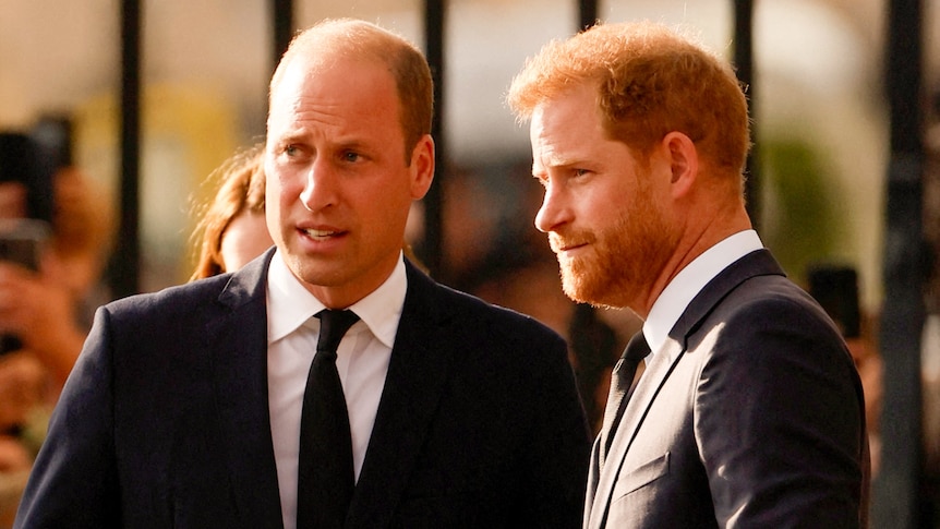 Prince William wearing a dark suit looks way from the camera as he talks with Prince Harry dressed in a dark suit.