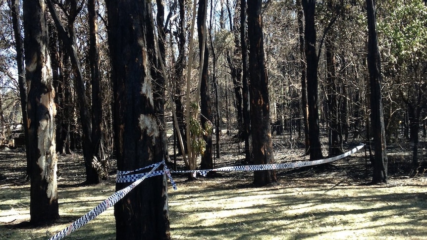 Large areas of bushland were burnt out by fires at Salt Ash, Fingal Bay and Heatherbra.