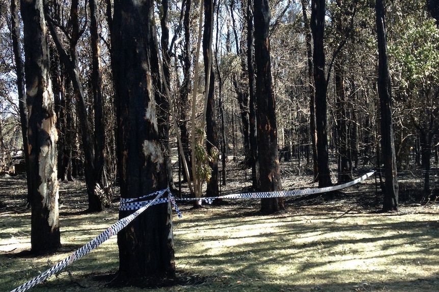 Large areas of bushland were burnt out by fires at Salt Ash, Fingal Bay and Heatherbra.