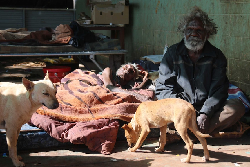 Kathleen Ngale and her husband Motorbike Paddy Ngale with dogs at Camel Camp