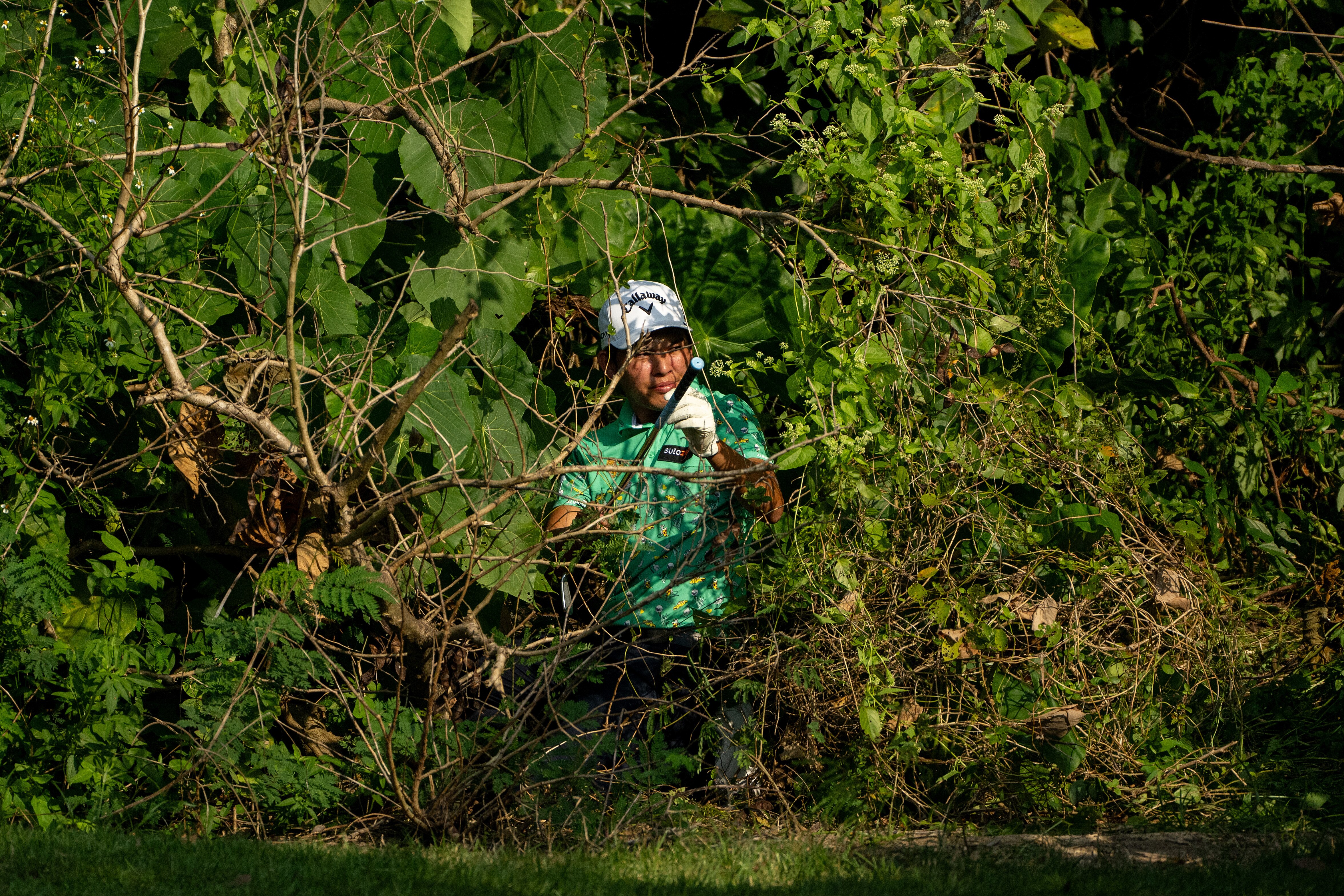 A shot of a golfer looking out onto the fairway, obscured by trees and bushes.