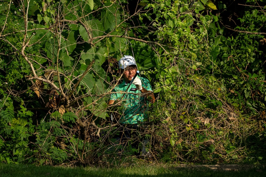 A shot of a golfer looking out onto the fairway, obscured by trees and bushes.