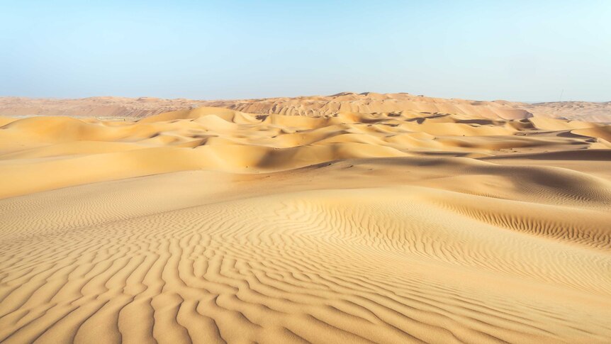 A desert-scape of close-ups of rippling sand and mountains of sand behind that, under a clear blue sky.