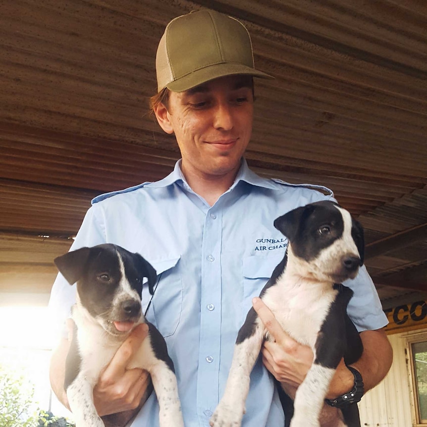 Man in cap and uniform holding two black and white puppies