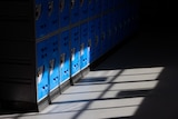 A row of blue lockers in a school corridor
